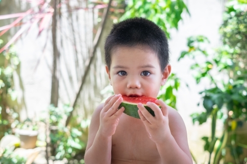 a toddler eating a watermelon on a sunny day