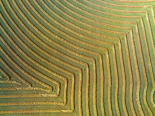 Aerial view of harvester lines and patterns in a rural paddock
