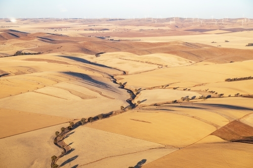 aerial view of hilly paddocks in summer