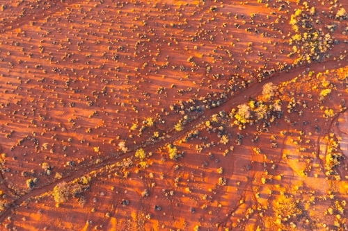 Aerial view of vegetation in dry creek beds in orange outback sand