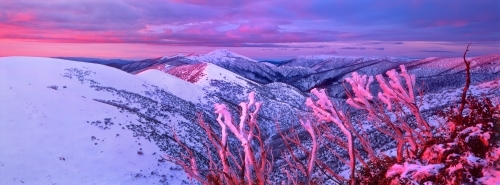 Alpenglow colour envelope the mountains surrounding Mount Hotham in the High Country