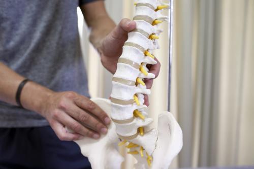 Close up of physiotherapist holding model of spine