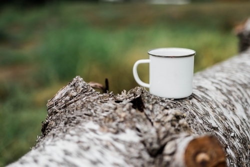 Coffee cup sitting on log outside