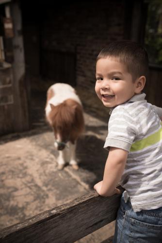 Cute 2 year old mixed race boy plays on a fence in an animal stable