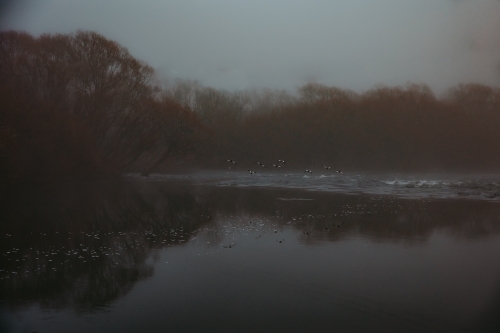 Dim photo of body of water with birds flying over