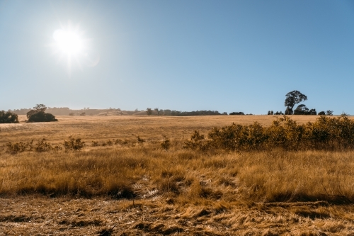 Paddock in drought in rural NSW, Australia.