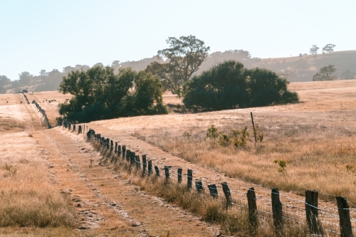 Paddock in drought in rural NSW, Australia.