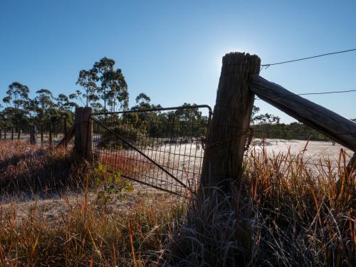 Farm gate and fence on a frosty morning