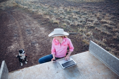 Farmer looking at dog while touching laptop