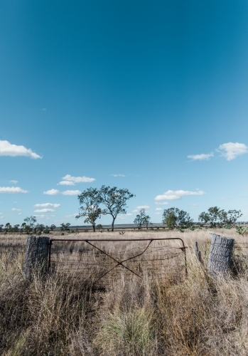 Fence against dry grass and sky