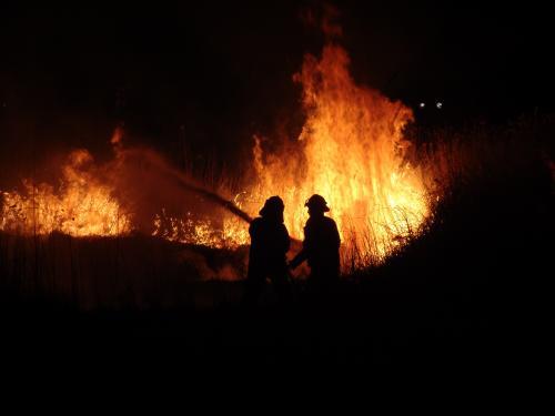 Firefighters fighting a grass fire at night silhouetted against the fire