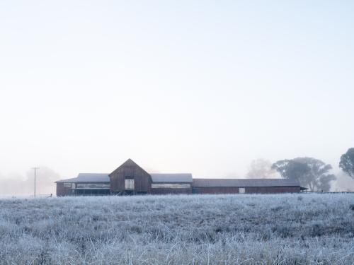 Frost covered Shearing Shed