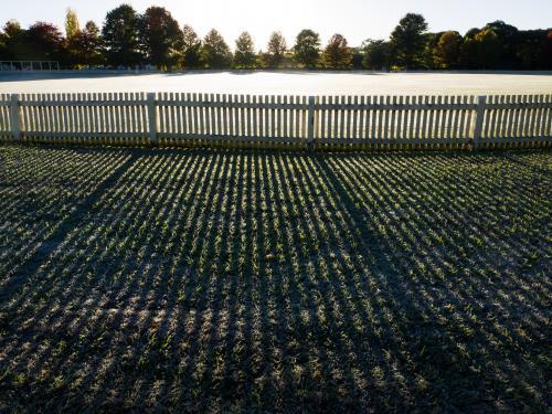 Frosty Bellevue Oval and fence at the University of New England