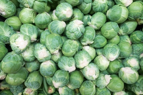 Full screen of brussels sprouts loose in the market.