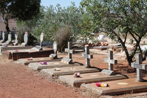 Graves at a pet cemetery