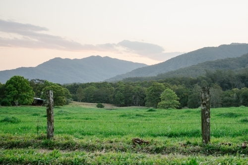 Horizontal shot of green grass field, trees and mountains