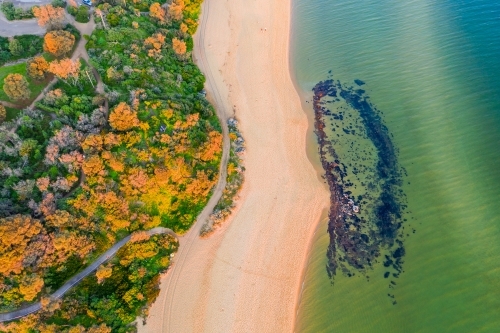 Looking straight down on a beach with coastal trails and a small rocky reef.