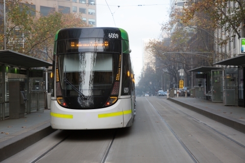 Melbourne Tram on a Foggy Morning