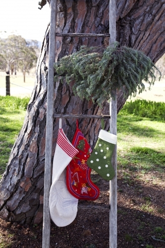 Old ladder with Christmas stockings and decorations in country backyard