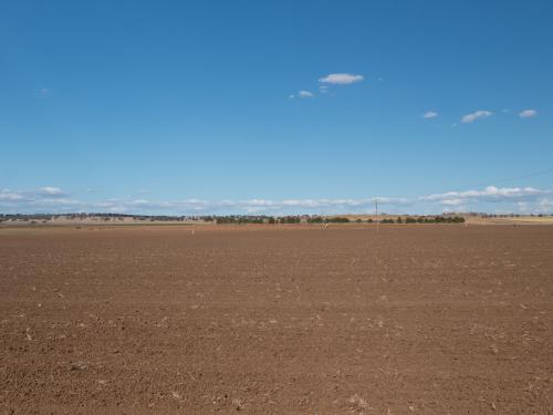 Ploughed paddock with brown soil and blue sky