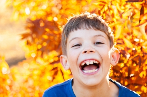 Portrait of a happy young boy laughing in autumn