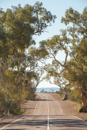 road through Flinders Ranges, SA