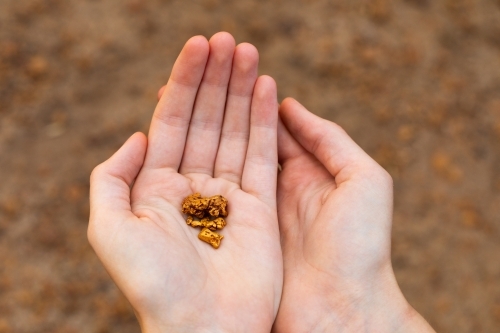 several small gold nuggets held in the hands of a girl