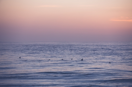 Surfers waiting for their wave at sunrise