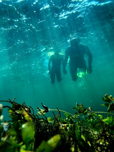 Two people snorkelling together over reef taken underwater