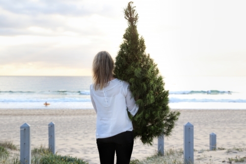 Woman carrying Christmas tree onto beach at sunrise
