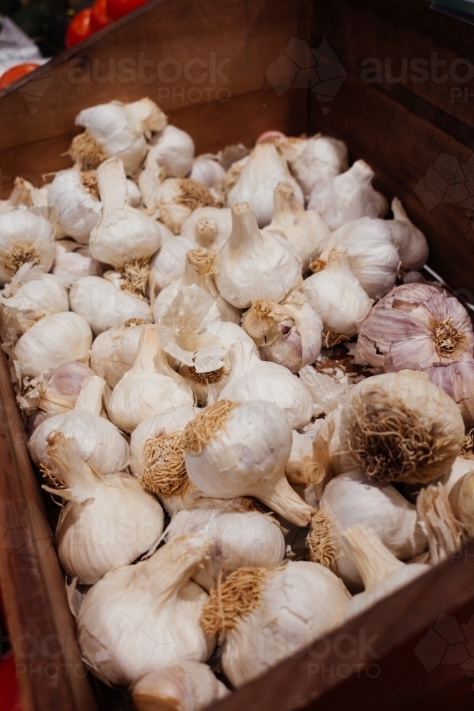 Pile of white garlic at the market. - Australian Stock Image