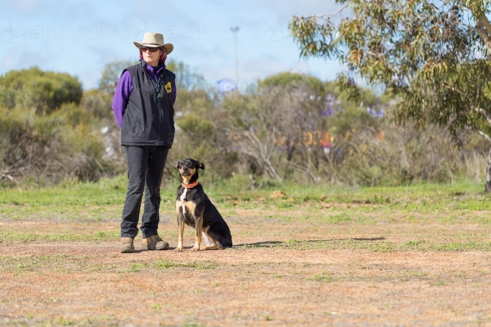 Sheepdog trainer with sheepdog - Australian Stock Image