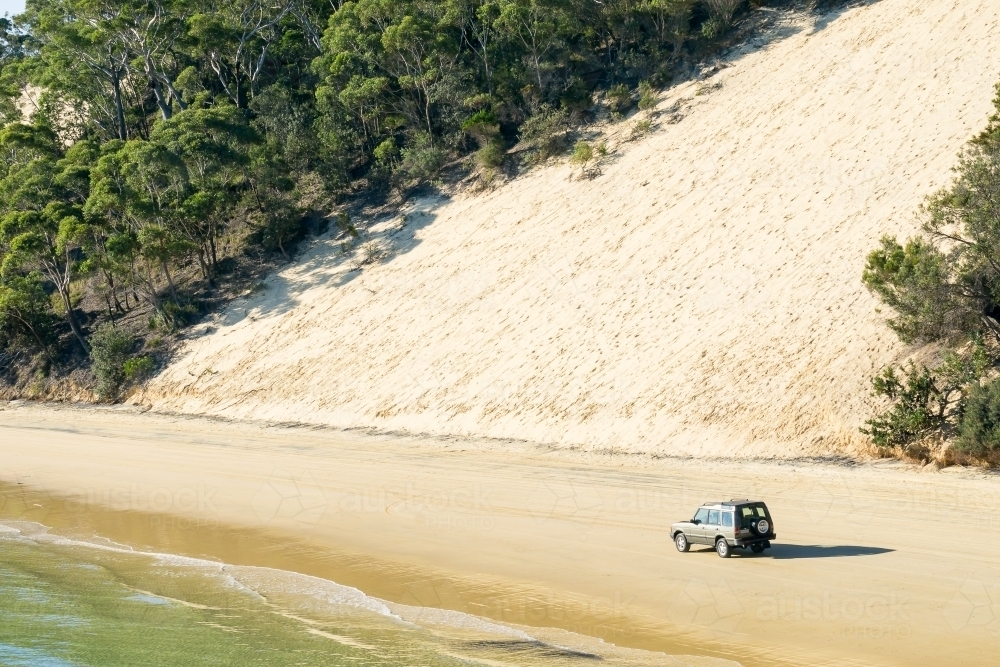 A 4WD driving along a beach below a sand dune - Australian Stock Image