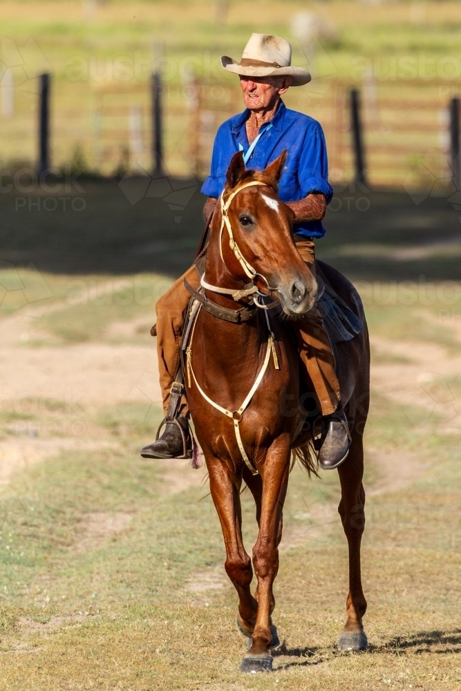 A 90 year old stockman on his horse. - Australian Stock Image