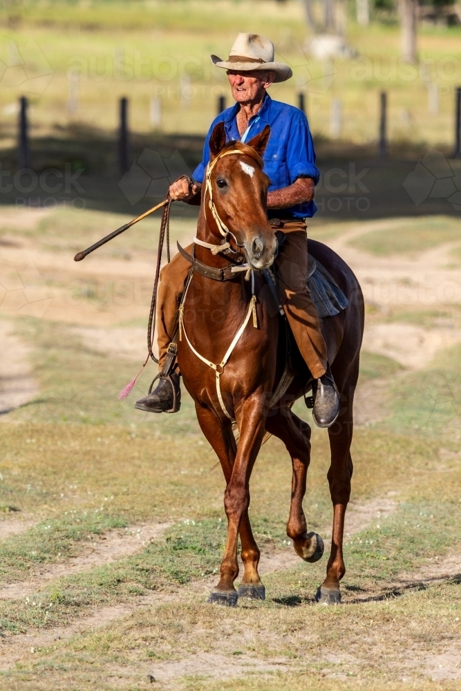 A 90 year old stockman with whip, on his horse. - Australian Stock Image