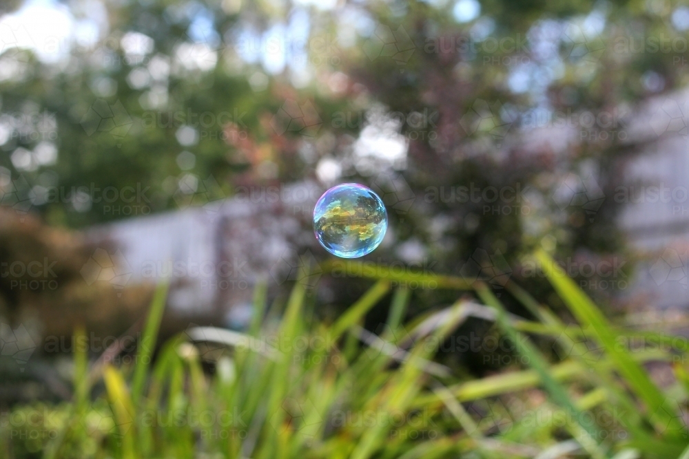 A bubble floating through a garden - Australian Stock Image