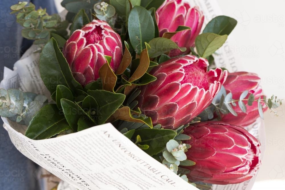 A bunch of pink flowers and eucalyptus leaves wrapped in paper - Australian Stock Image