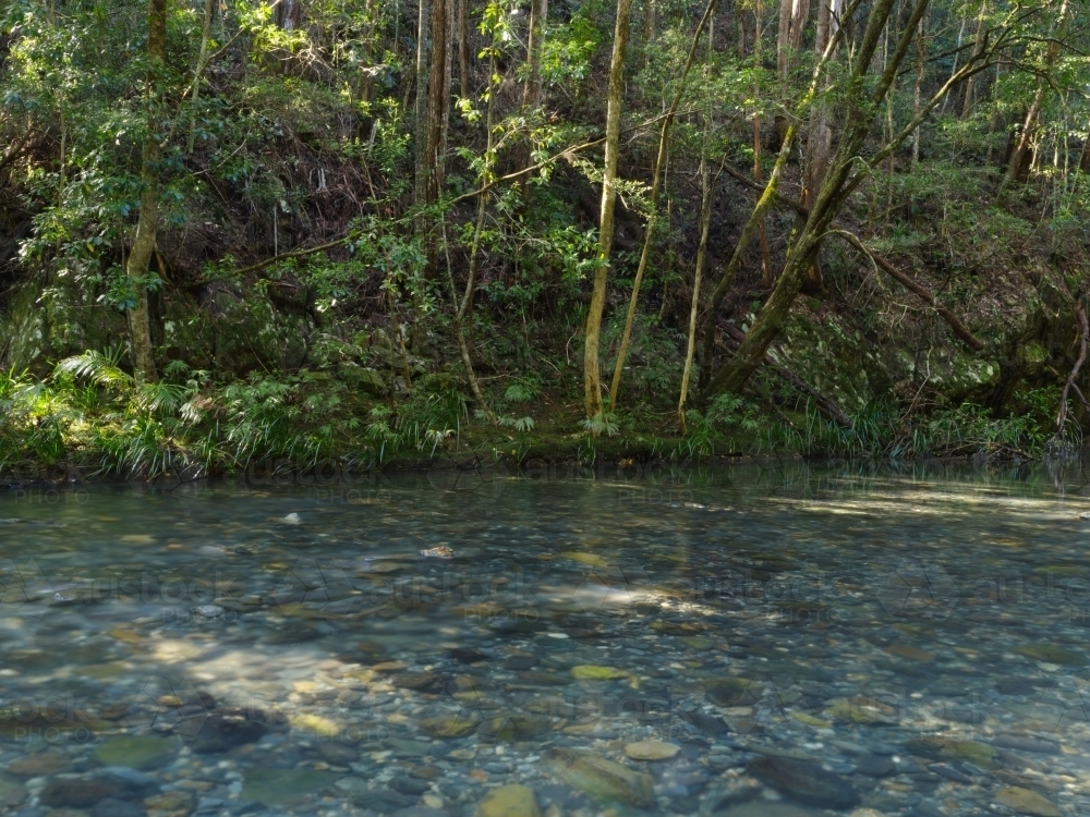 A calm river surrounded by grass and trees with visible rocks at the bottom - Australian Stock Image