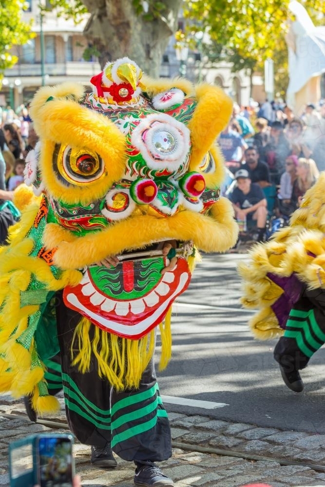 A Chinese dragon in a parade - Australian Stock Image