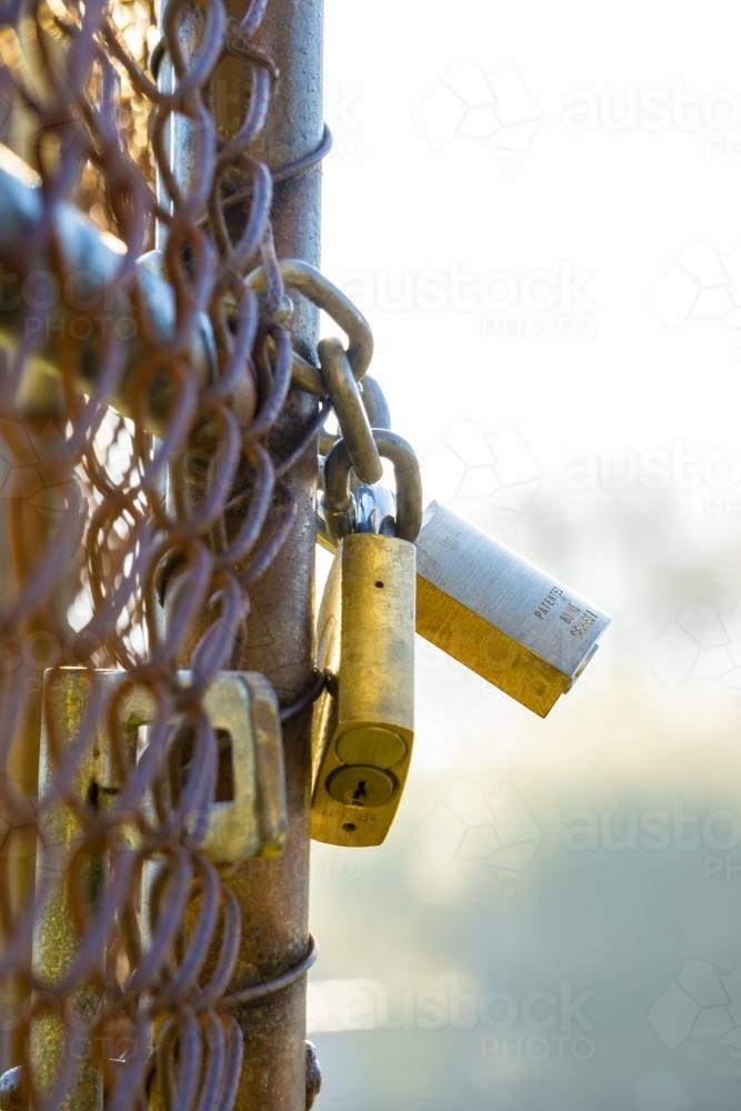 A close up of two padlocks on a locked gate - Australian Stock Image