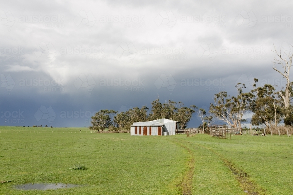 A corrugated iron shed on an Australian farm with green grass and a moody sky in the background - Australian Stock Image