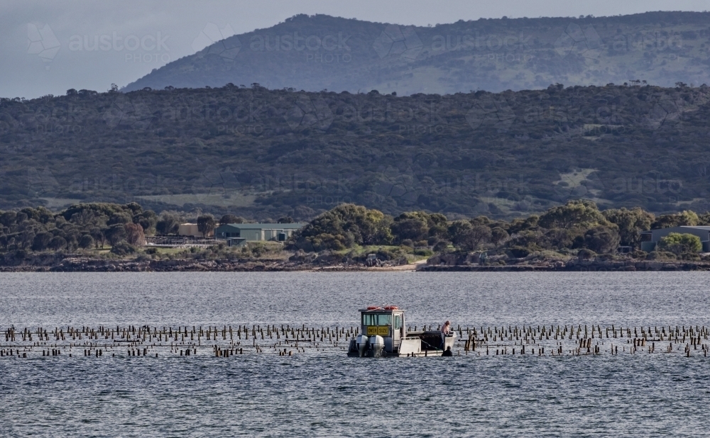 A couple with their boat, checking on the oyster beds in the bay with mountain range in background - Australian Stock Image