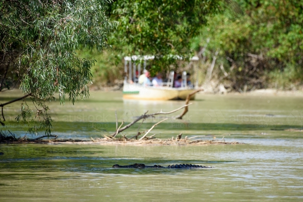 A crocodile partially submerged in the water with people on the boat at the background. - Australian Stock Image