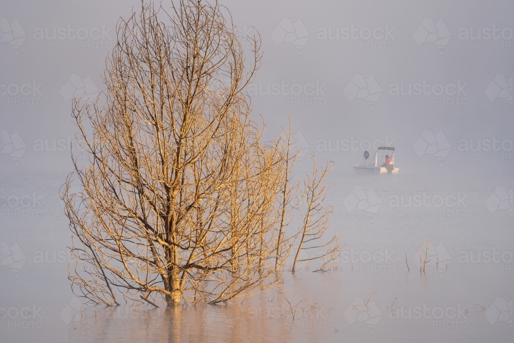 A dead tree deep in water near a fisherman on a small boat in the middle of a foggy lake - Australian Stock Image