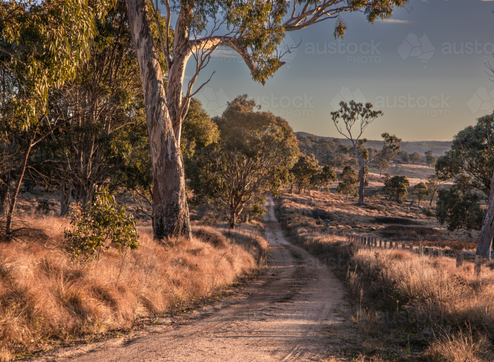 A dirt country road on a winter's morning - Australian Stock Image