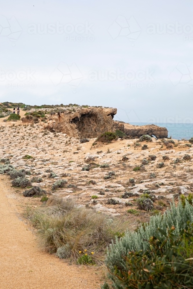 a dirt path leading to the cliffside bordered by low-lying shrubs and grass - Australian Stock Image