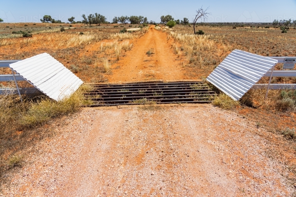 A dirt road crossing a cattle grate in an outback landscape - Australian Stock Image