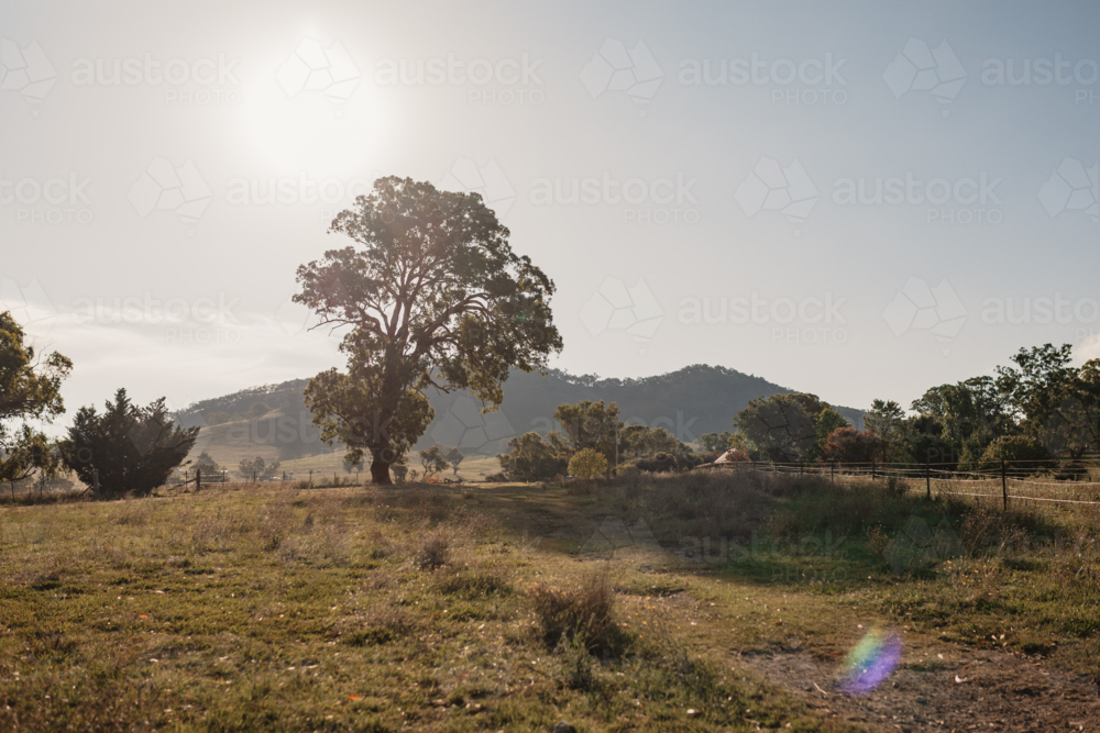 A dirt track runs through farmland and bushland in rural New South Wales, Australia - Australian Stock Image