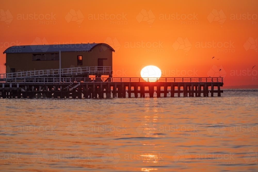 A dramatic golden sunrise over a coastal jetty and calm water - Australian Stock Image