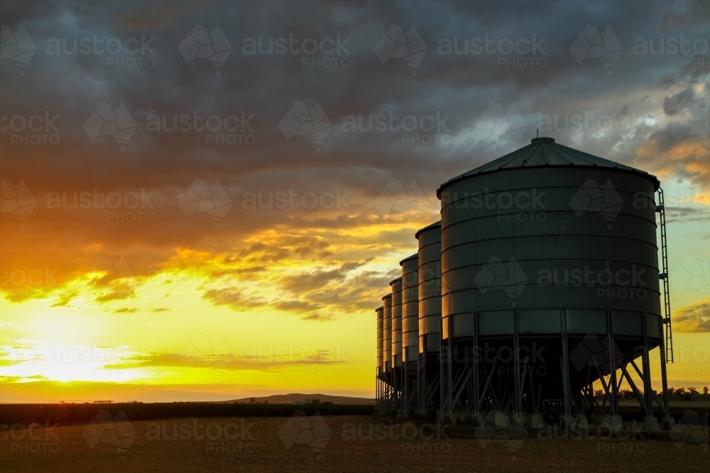 A dramatic sunset over six grain silos on a farm near Breeza on the Liverpool Plains - Australian Stock Image